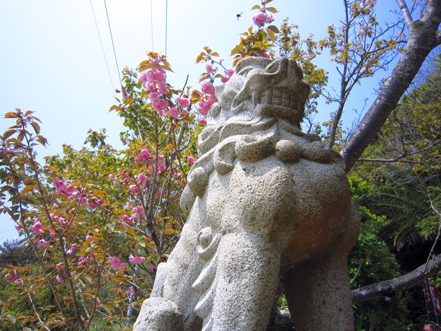 秋葉神社