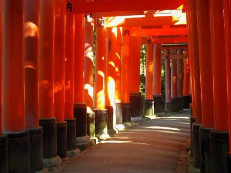 best of 鳥居