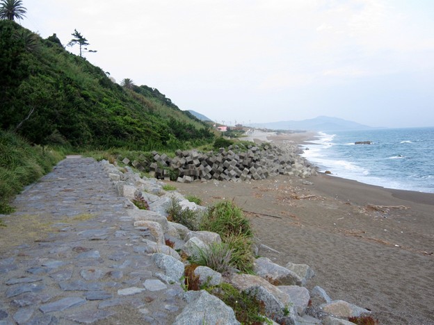 渥美半島