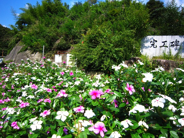 豊田市