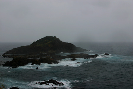 IMG_3541