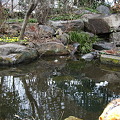 Photos: DSCF9173