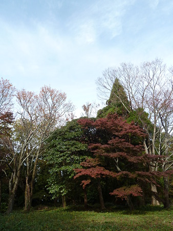 観心寺～高取城 039