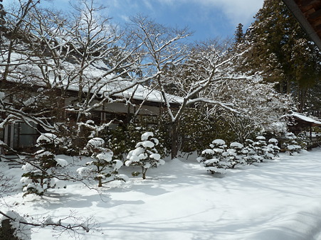 高野山～熊野三山 016