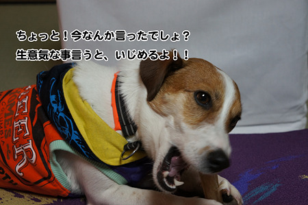 DSC01153_org