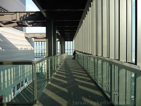 111101-ミッドランド展望台 (14)