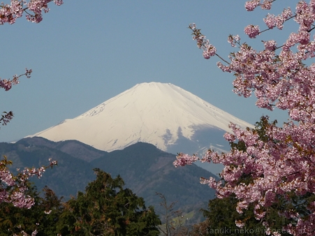 120329-松田山から富士山 (2)