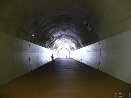 110622-東横廃線 反町→横浜 (49)