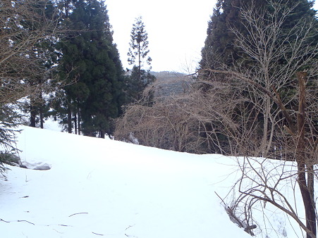2012032026