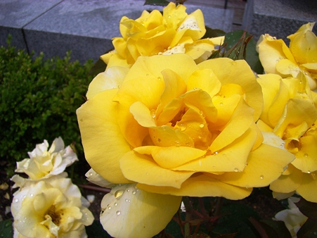 DSC03730