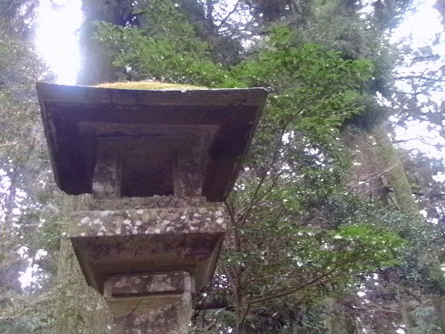 Photos: hakone-shrine[箱根神社]