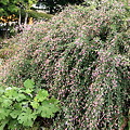 平和公園・萩01-11.09.22