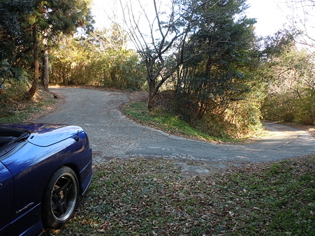 DSCN2156