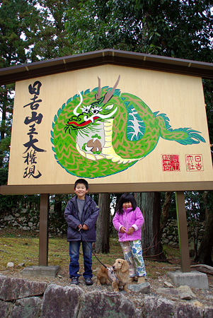 辰年