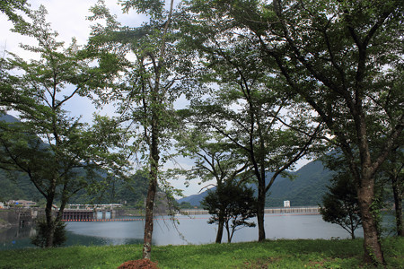 DPP_0021-2