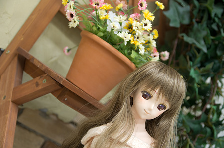 IMGP3551