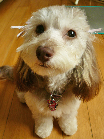 110610_miracle