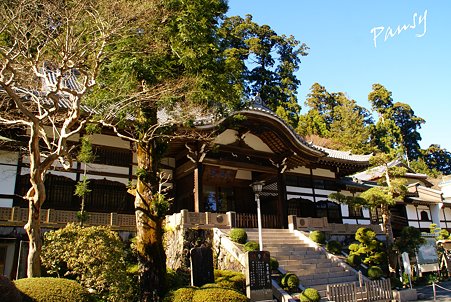 書院・・大雄山最乗寺さんぽ・・34