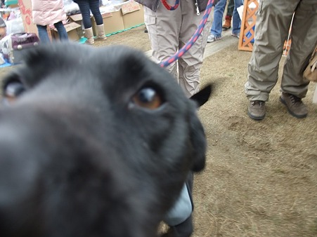 ん?誰だ!