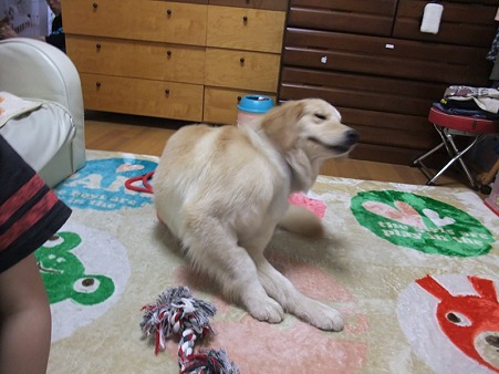 首、かゆ!