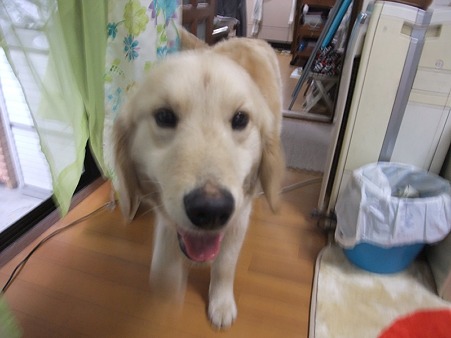 楽しい~♪