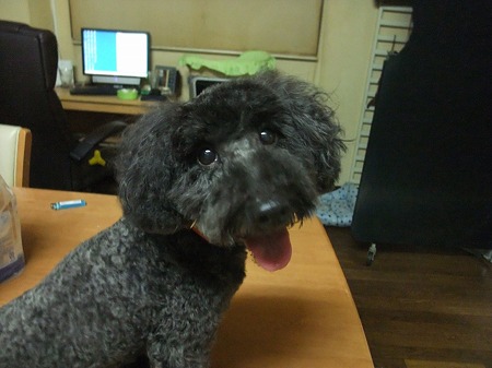 つぶらな瞳♪