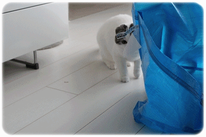 バッグ