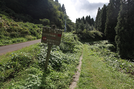シワガラの滝へのルート - 1
