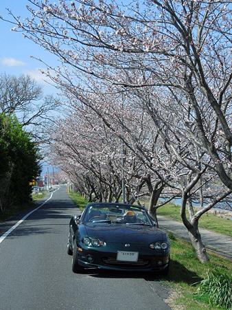 DSCN1462