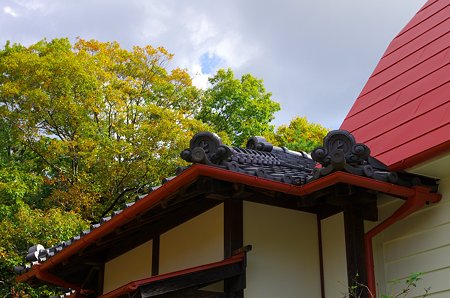 IMGP5420