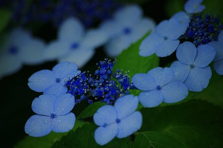 IMGP1055