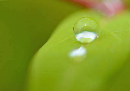 水滴