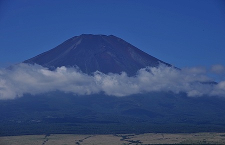 長池親水公園にて1