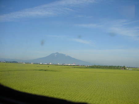DSC04990