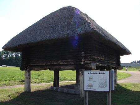 DSC05181