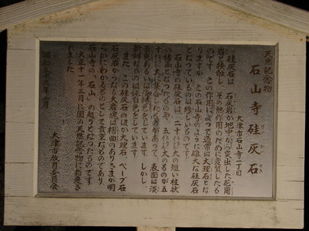 DSC06331