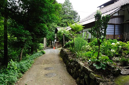 1106230932_DSC_1880