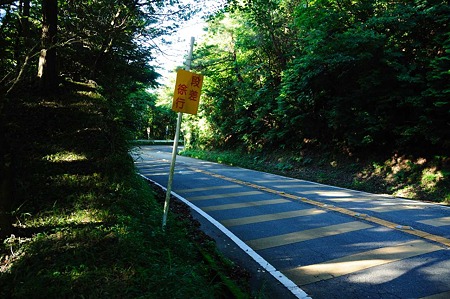 1107120723_DSC_5410