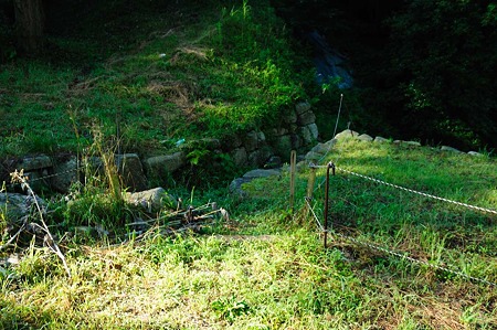 1107120748_DSC_5502