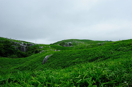 1107131429_DSC_3624