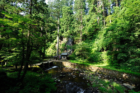 1108130810_DSC_4272