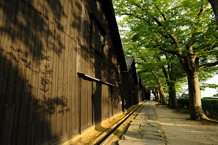 1108131727_DSC_5029