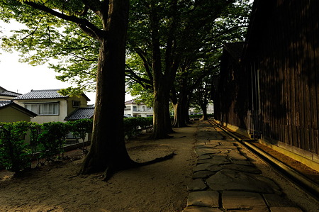 1108131728_DSC_5035