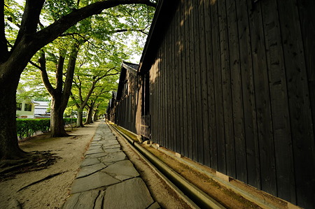 1108131730_DSC_5057