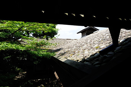 1108141113_DSC_5592