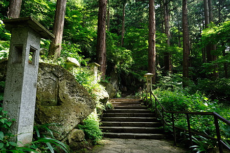 1108160907_DSC_7001