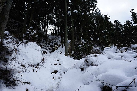 1101021233_DSC_7180