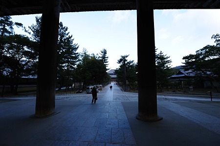 1101040841_DSC_8319