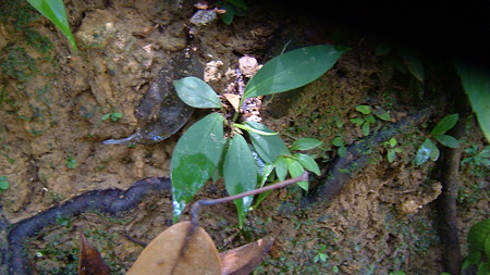 DSCF0059
