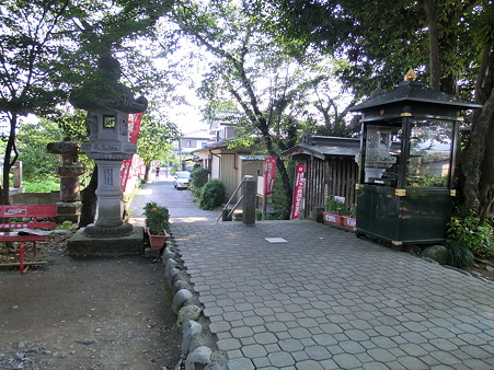 CIMG0242